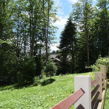 Alpin Residence Sinaia Extérieur photo