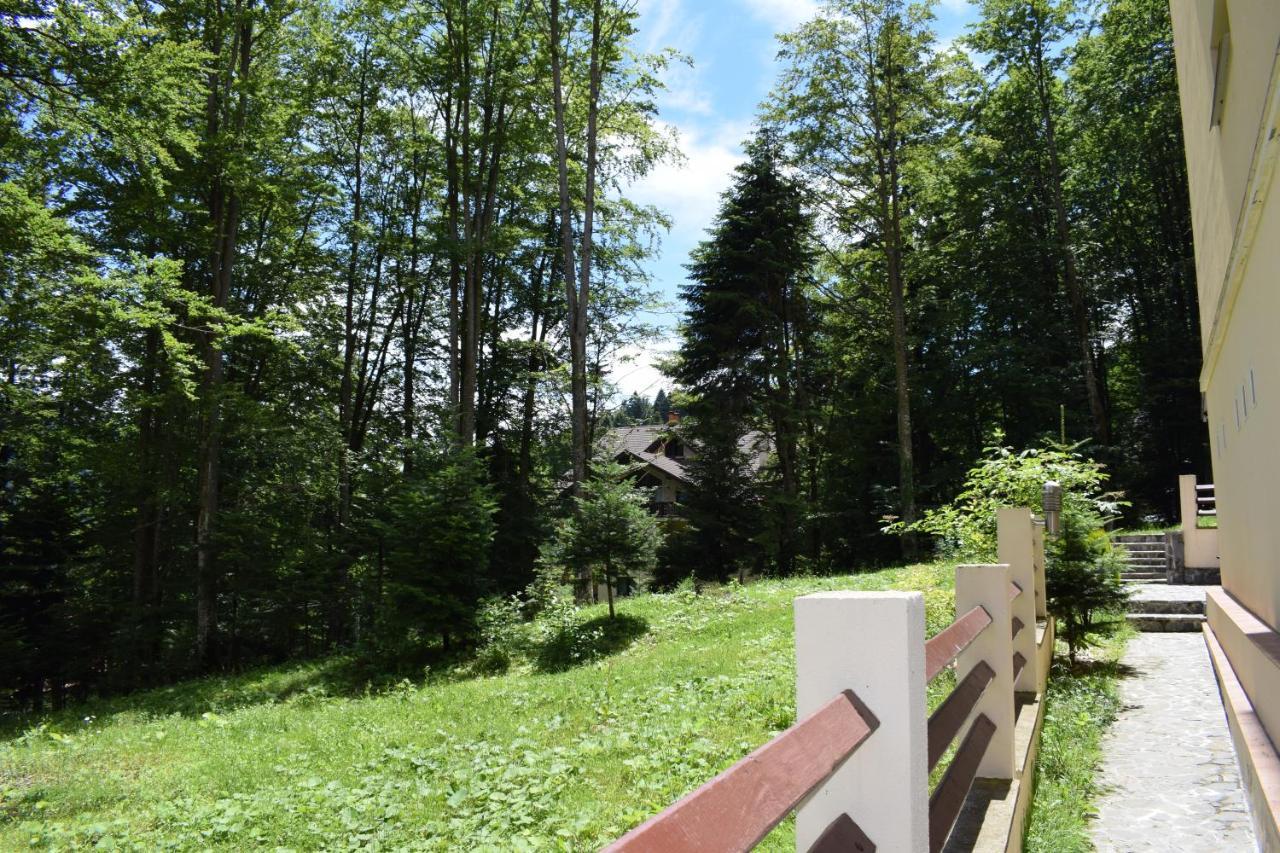 Alpin Residence Sinaia Extérieur photo